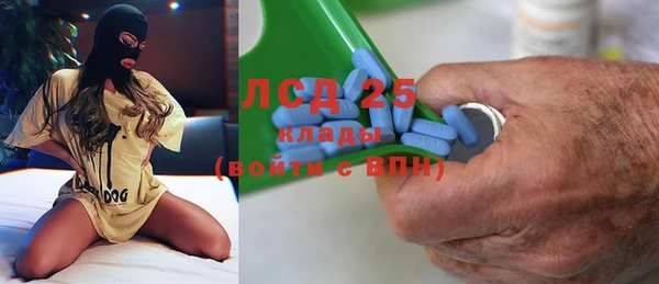 крисы Покачи