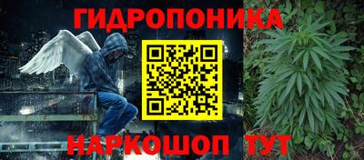 мескалин Гатчина