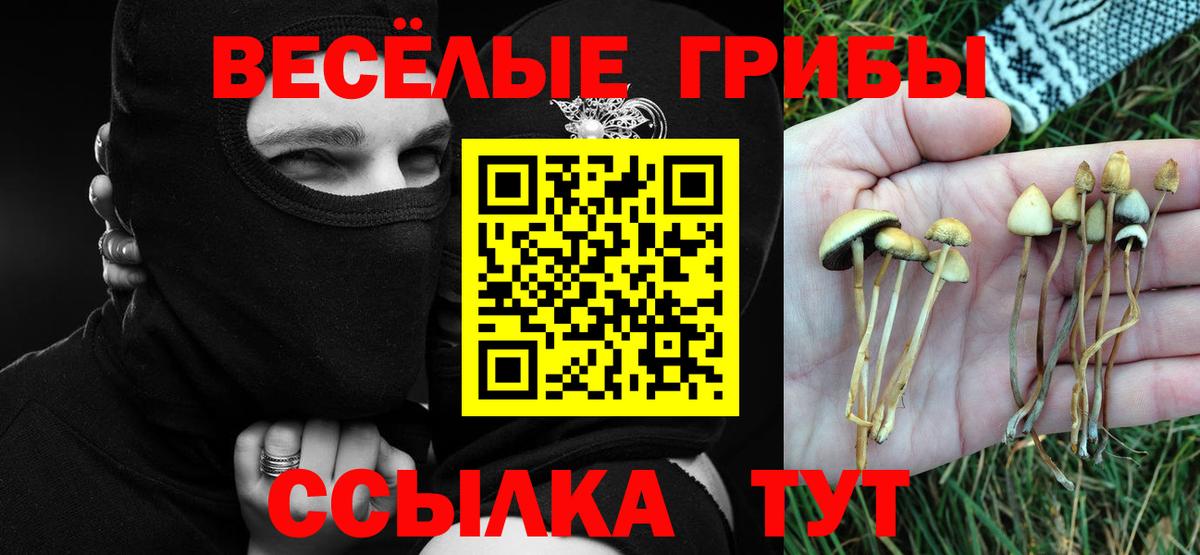 Каменка  Псилоцибиновые грибы ЛСД  Вход с VPN 