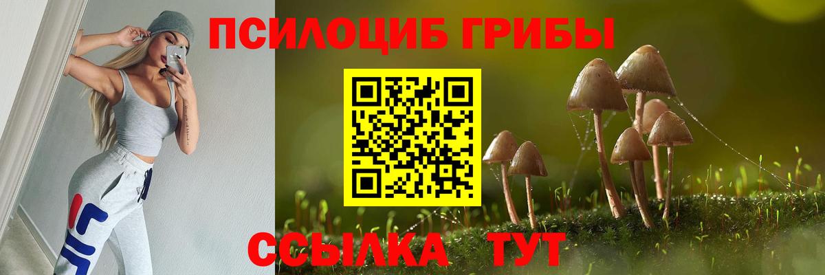 Галлюциногенные грибы ЛСД Каменка