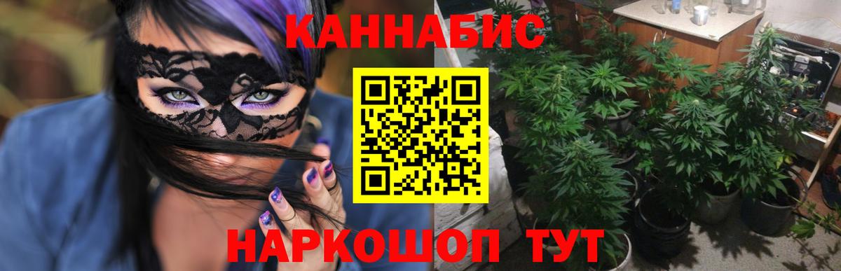 Бошки марихуана Bruce Banner Каменка